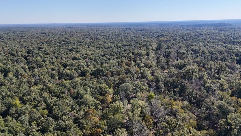 Copy of dji_fly_20251014_234154_0047_1760476898236_photo