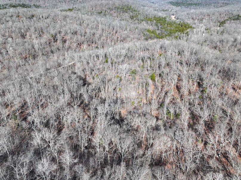 DJI_20251219114006_0892_D