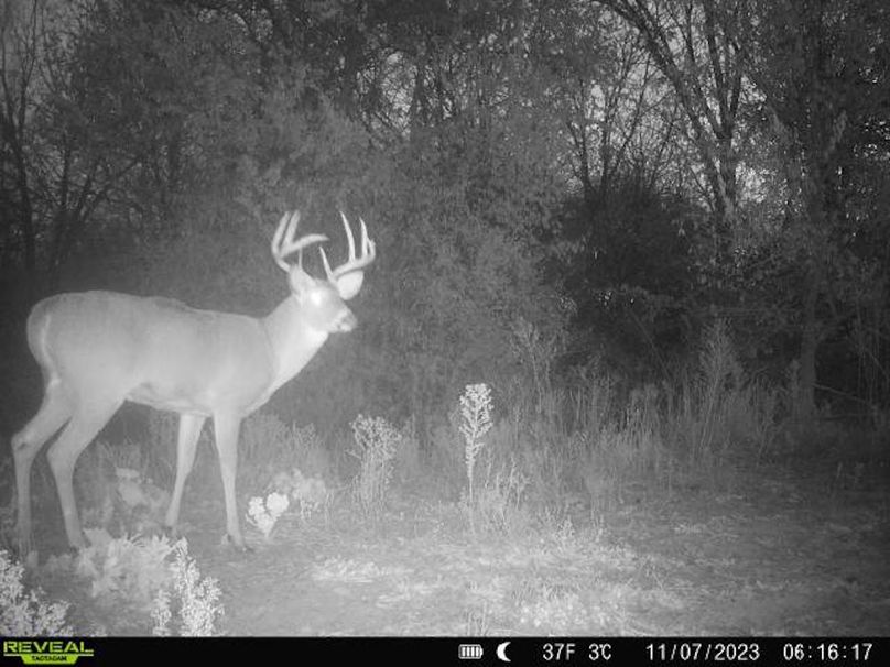 868032067149447-20-4-11072023061616-V-W1003689