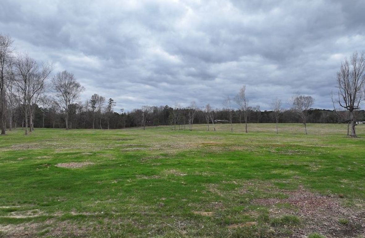 dji_fly_20260217_142726_0131_1771436927479_photo