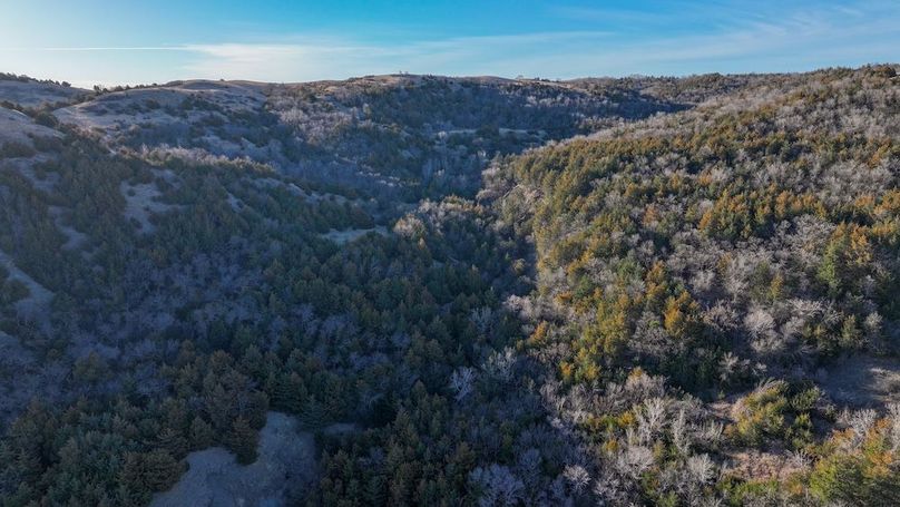 DJI_20260325084320_0157_D