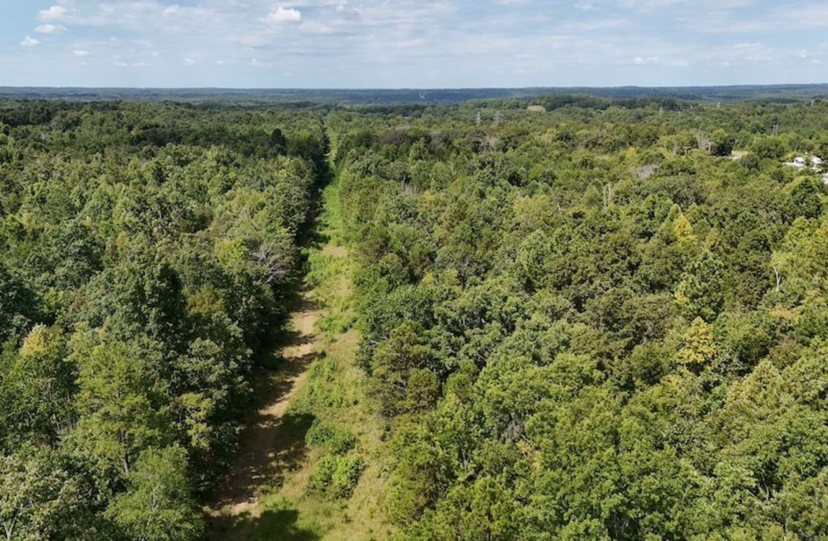 DJI_20250728112103_0139_D