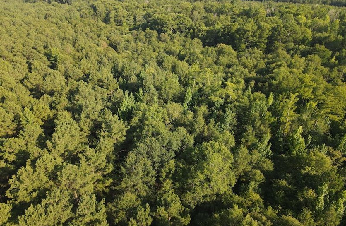 DJI_0603