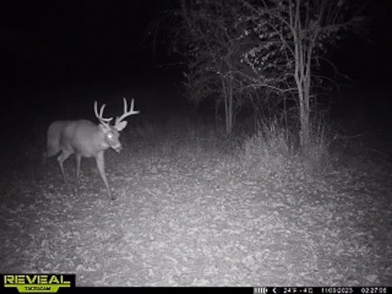 865509050418056-50-4-11092023022735-W1003201