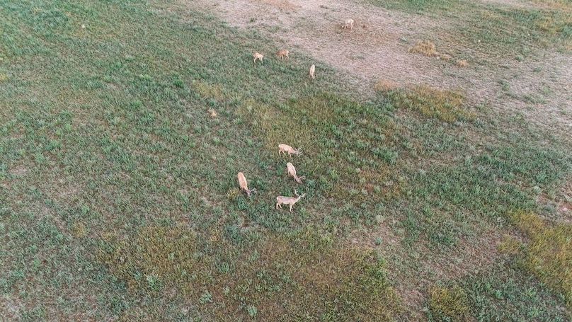 DJI_20240810063118_0038_D