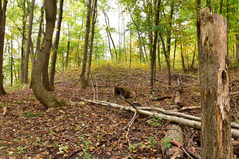 Chemung_29.5_Frantellizzi_Photo_14