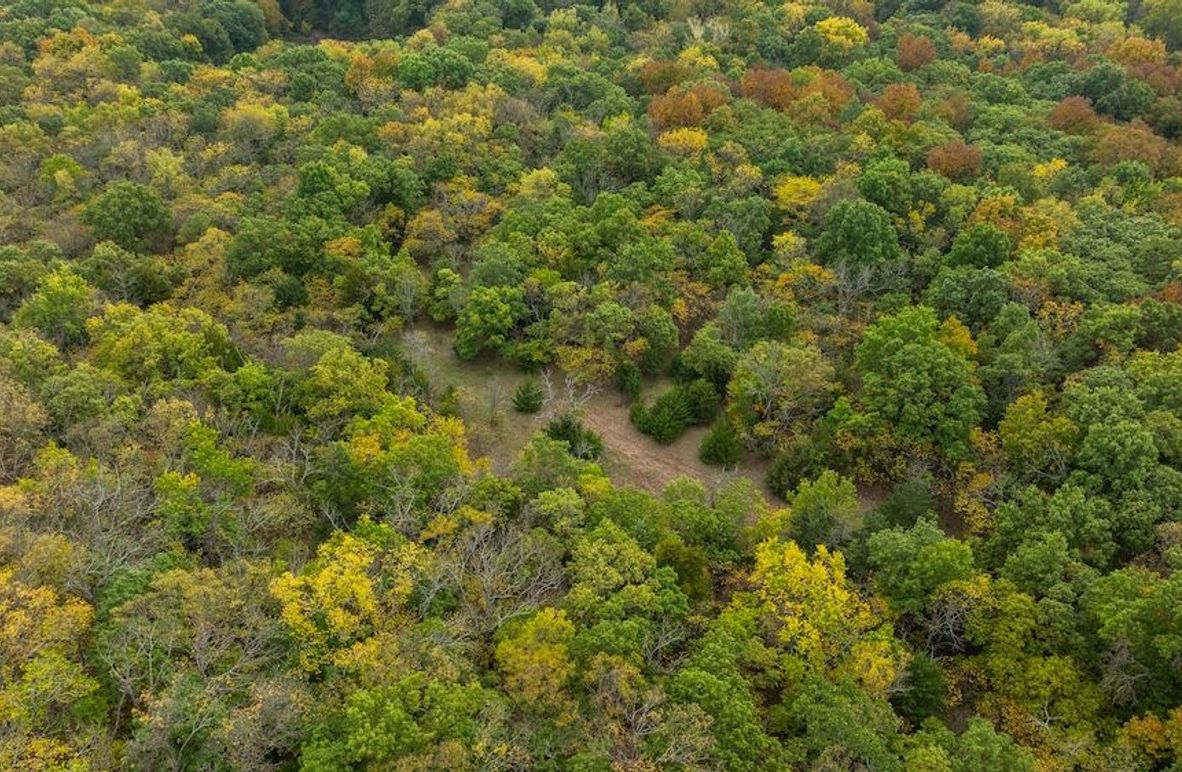 Brad Hand Osage 91--01