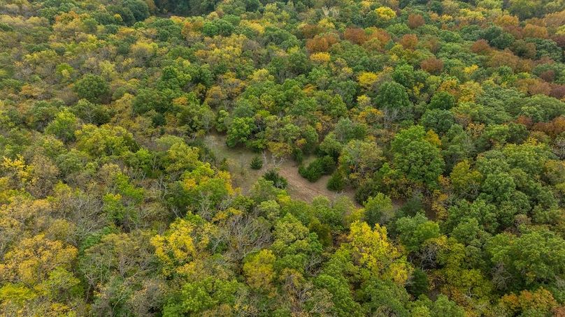 Brad Hand Osage 91--01