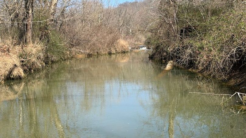 Butler 118 Capella25