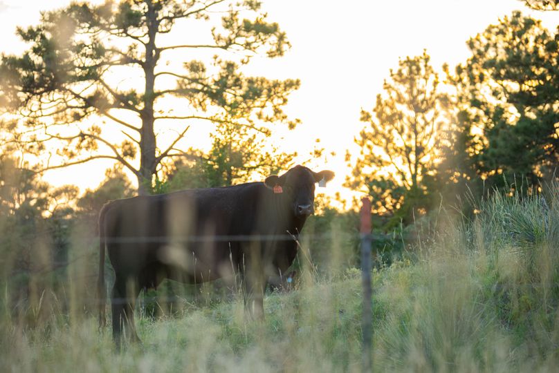 Keya Paha NE 2700_Pro Photo-93