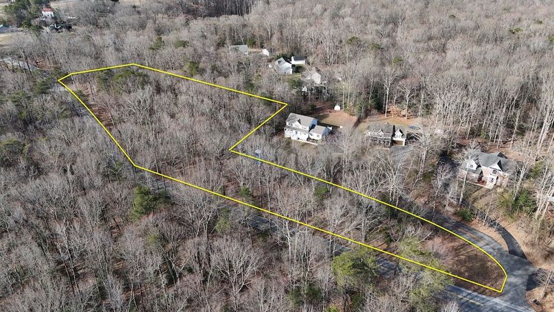 dji_fly_20250310_095552_0003_1741884651520_photo (2)