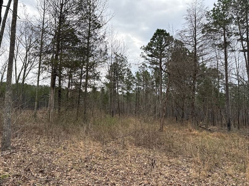 DJI_20260324_103753_345