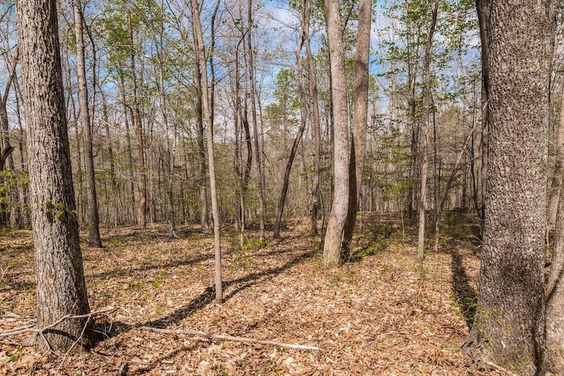 71-web-or-mls-0 Mound Creek Rd-41