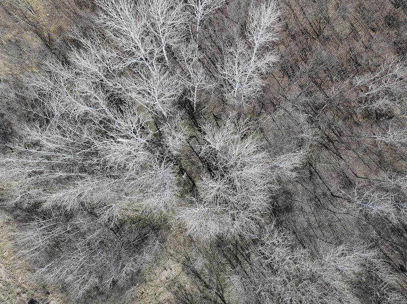 dji_fly_20250430_161156_0518_1746048114326_photo