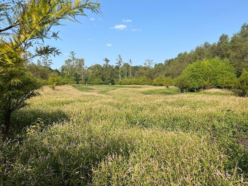 Duck Slough(1)