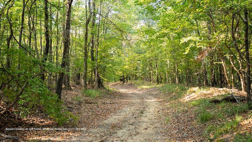 Tallahatchie 847 Messina-19