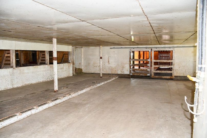 Nikon-47