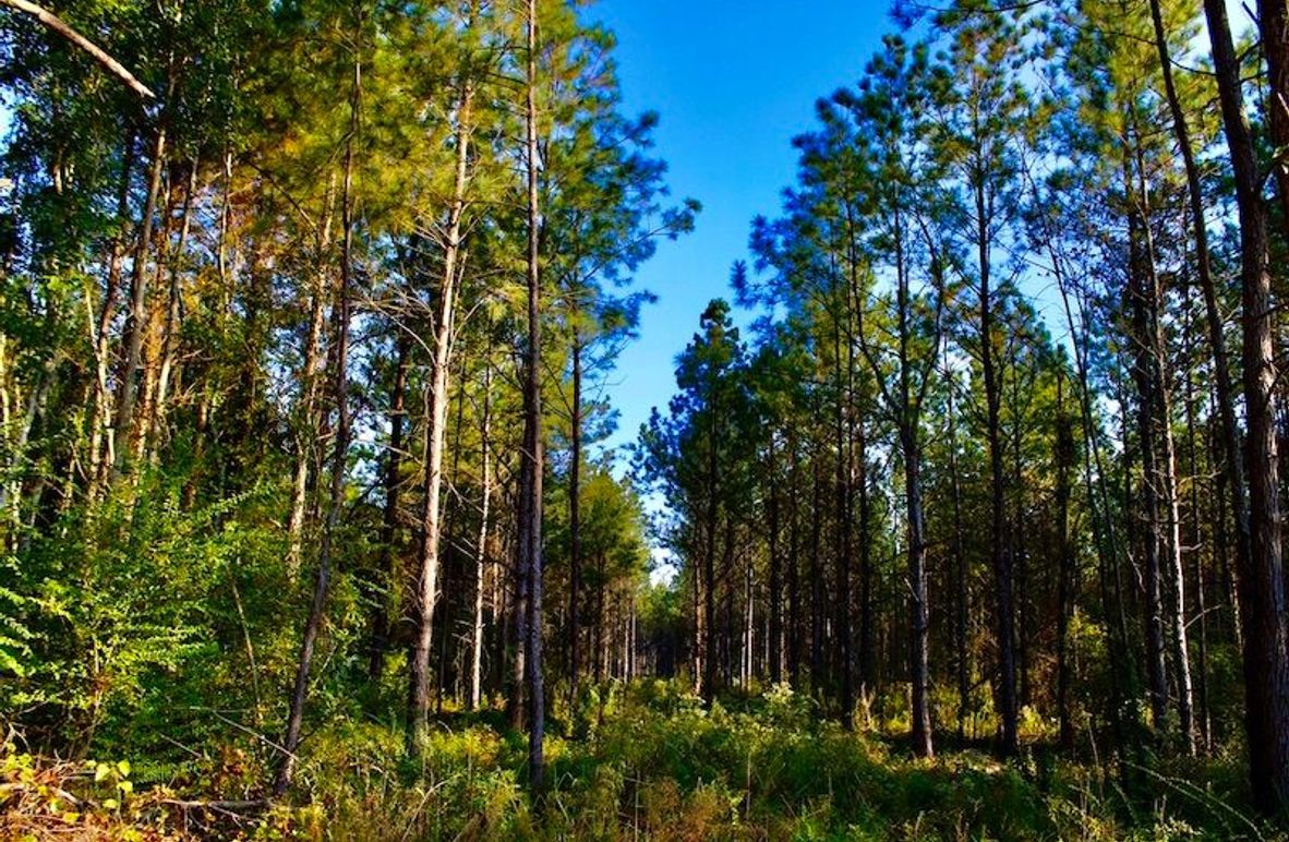 6E725C71-01DE-47B9-A737-2D46EE3A51AA_1_105_c