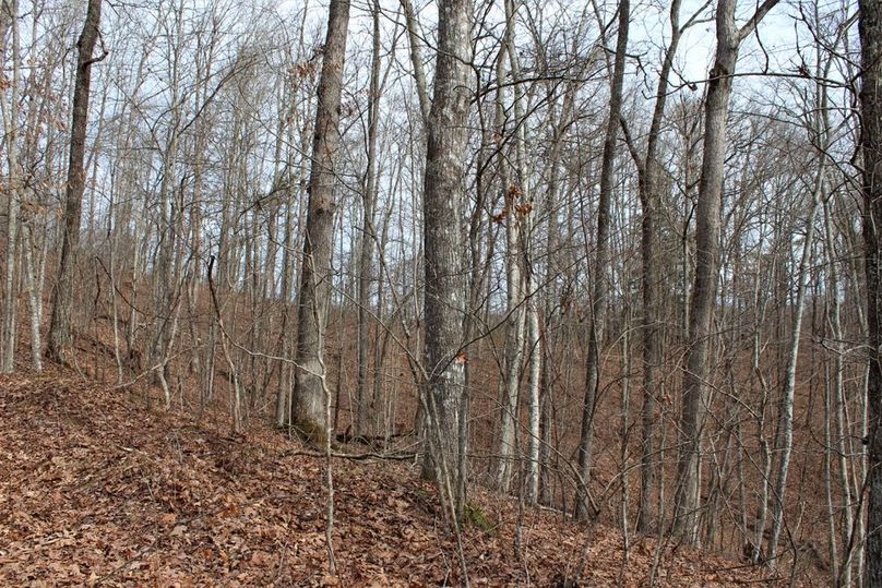 010 hardwood ridge and secondary point in the south portion of the property