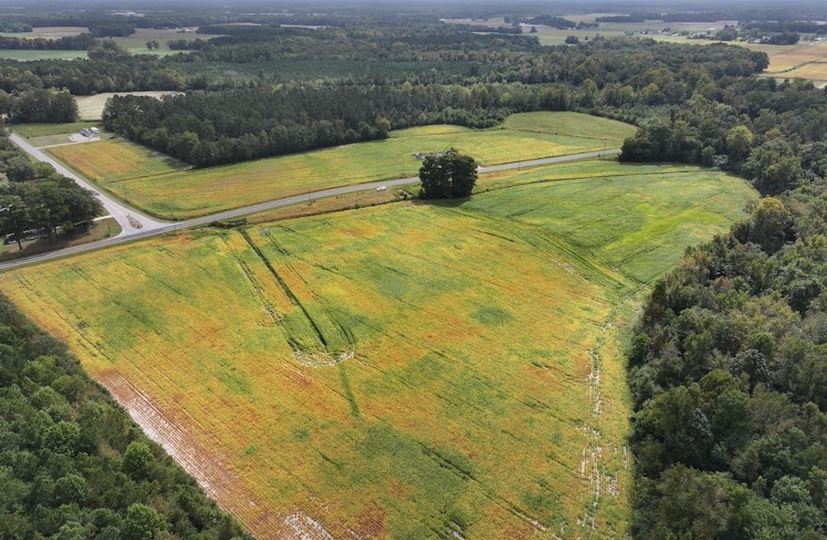 DJI_20250923113413_0106_D