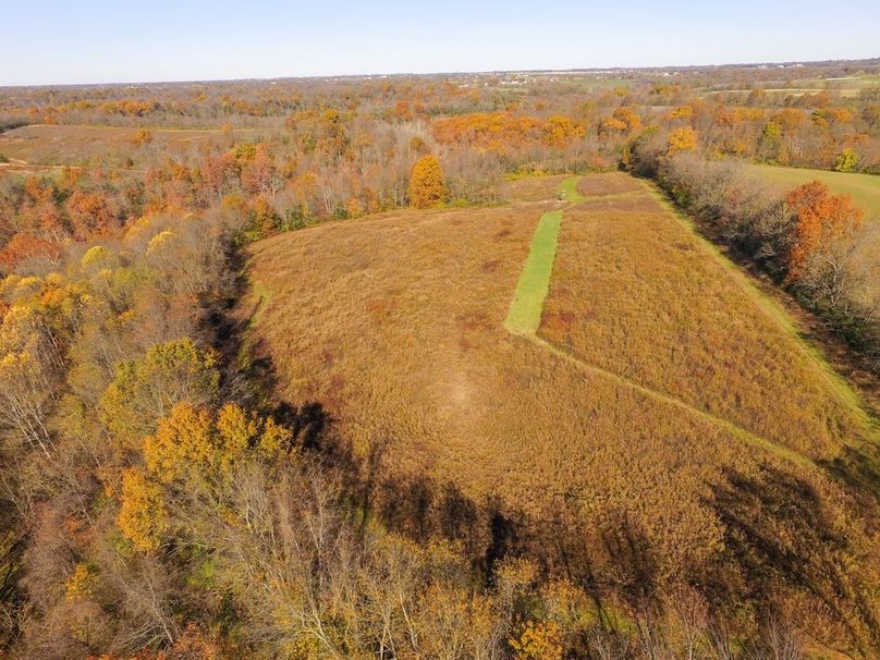 Fleming Petry 115-08