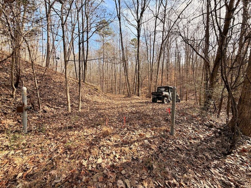 Roane Co TN 396 20251127_80