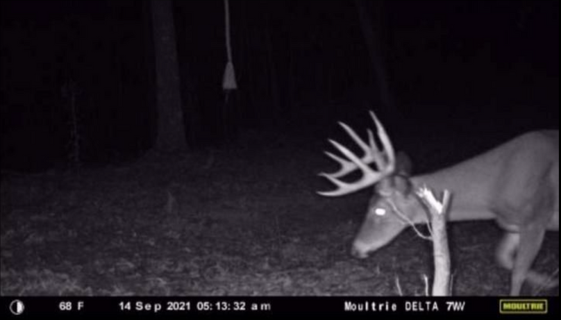 Screenshot 2023-07-27 at 9.56.34 PM