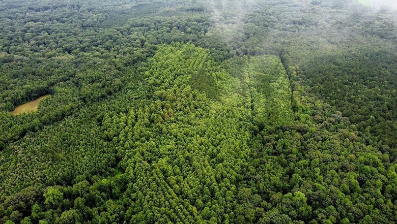 dji_fly_20250802_101134_567_1754143902174_photo_optimized