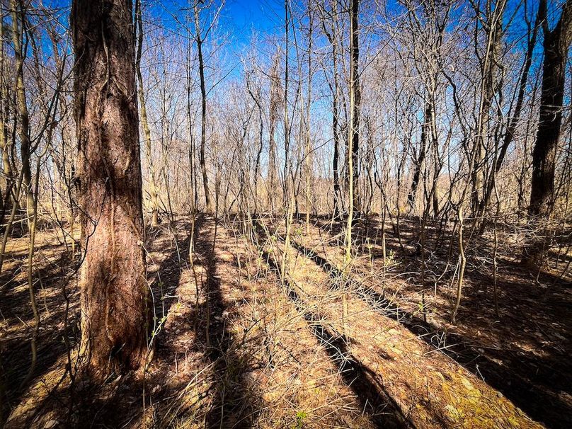 Oswego_13.95_Moore_Bush_Photos_18