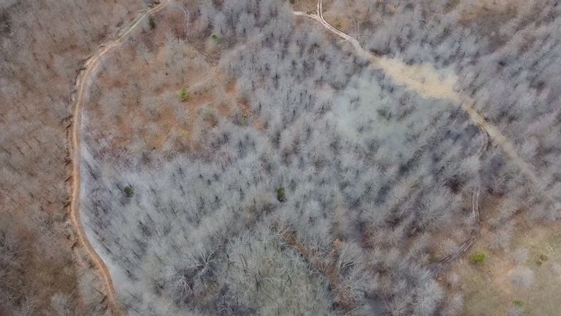 2024-02-29-15-46-35-611