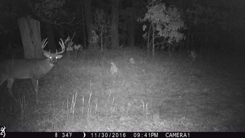 Sauk 174 Trailcam - 75