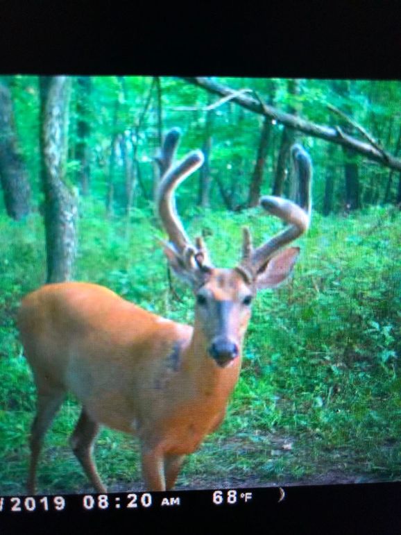 58457865824__214570FF-C04F-4A6C-95C1-10331FE0CB75