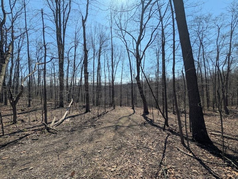 PXL_20260326_165144073.MP