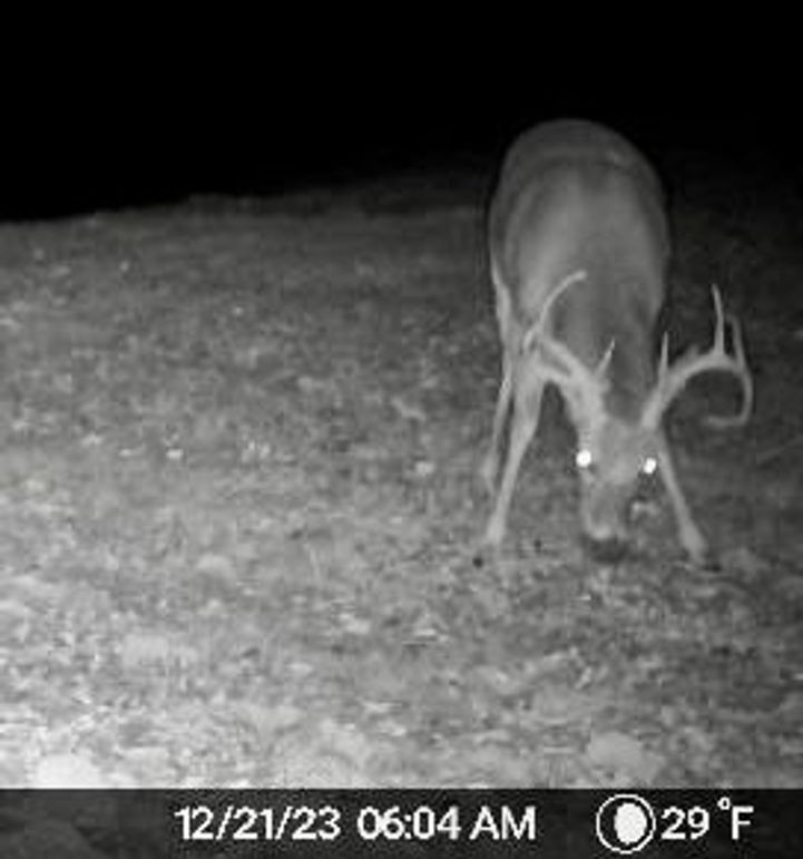 image638387591424399211