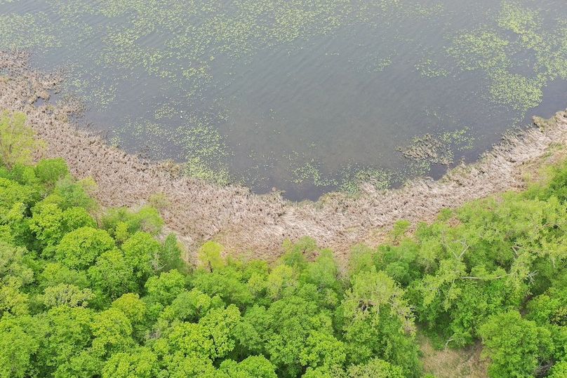 DJI_0331