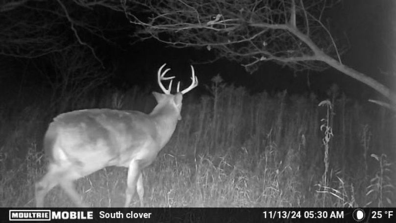 Trailcam14