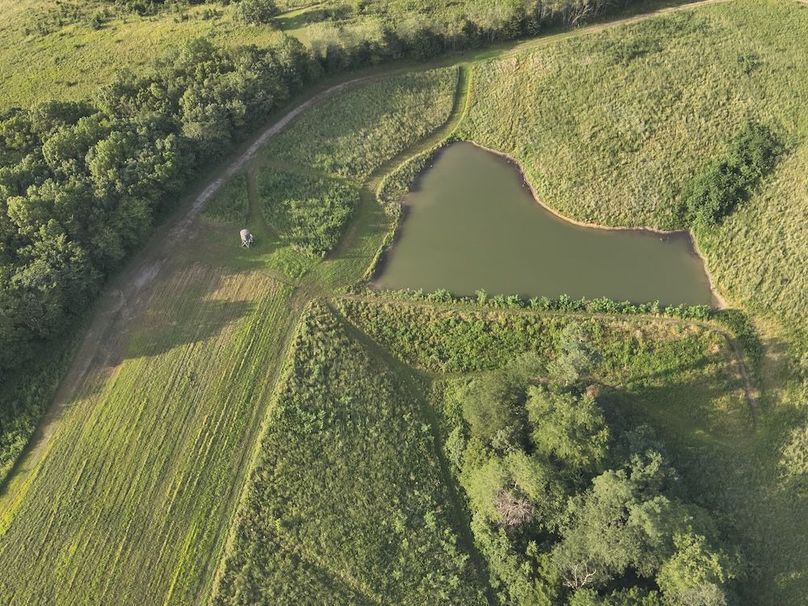 DJI_20240730185738_0011_V