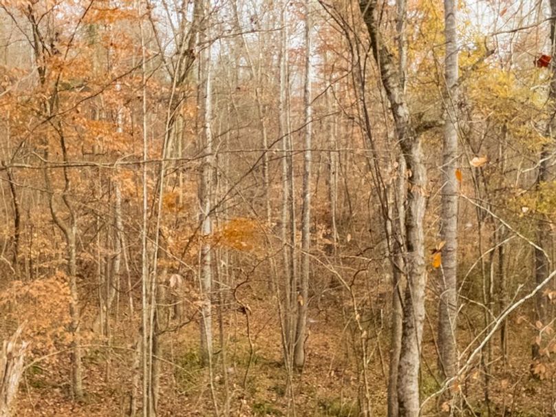 Claiborne Co - 274 - Marian-013