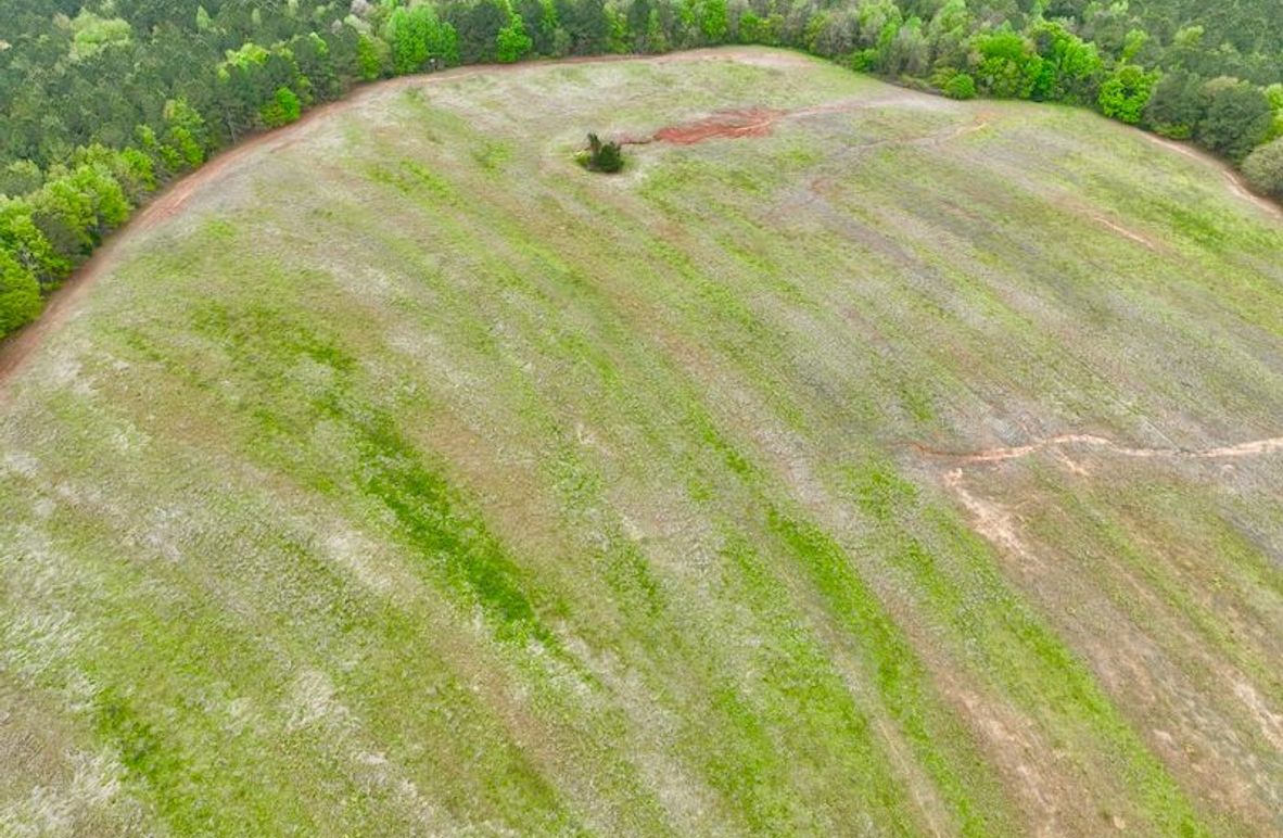 dji_fly_20250402_110844_622_1743607185520_photo