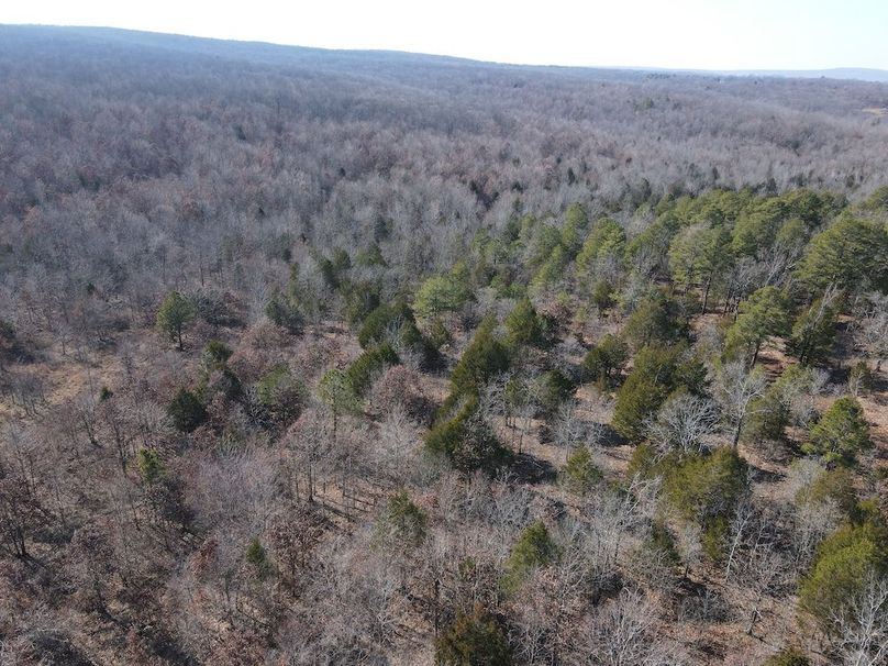 dji_fly_20250213_142512_13_1739478321049_photo