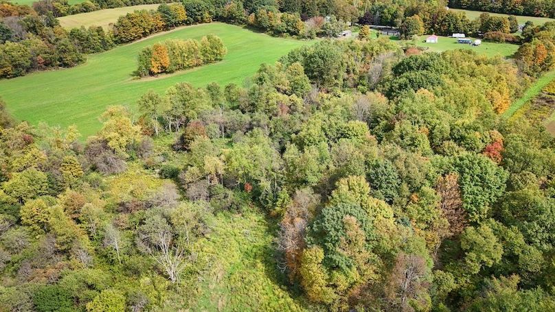 Cayuga_55.02_Herman Photo 49