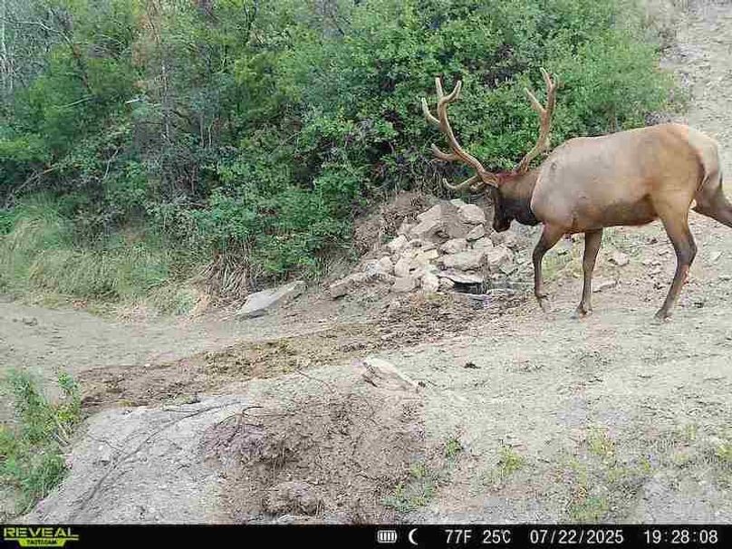 860516063676799-100-3-07222025192808-V-W1010392