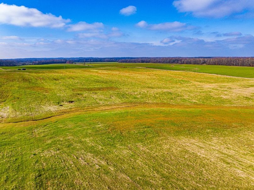 Henry 137 Miller-29-2