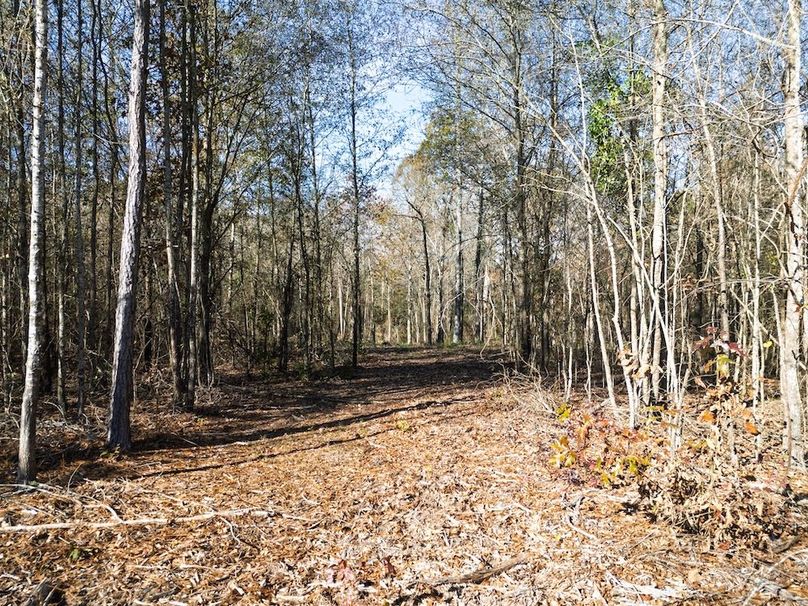 cropped and edited harrison 417ac pics-164