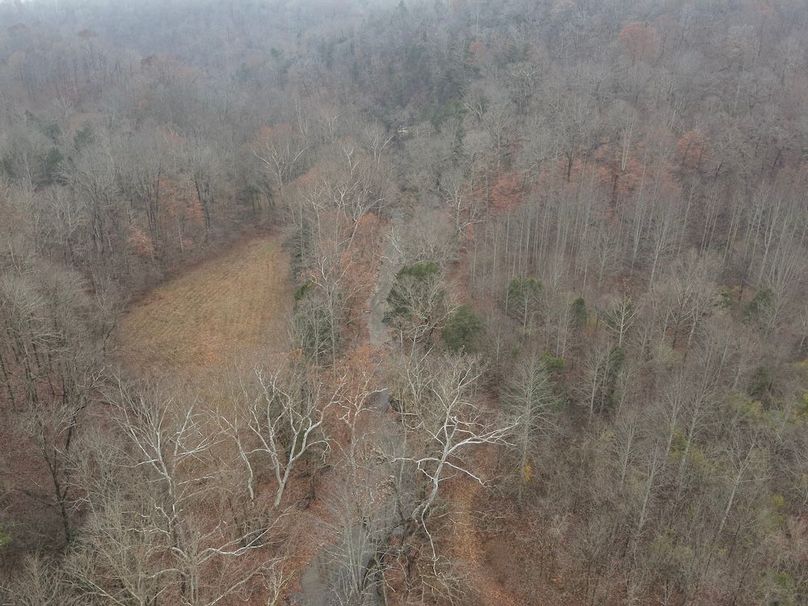 2-DJI_20251119125841_0010_W