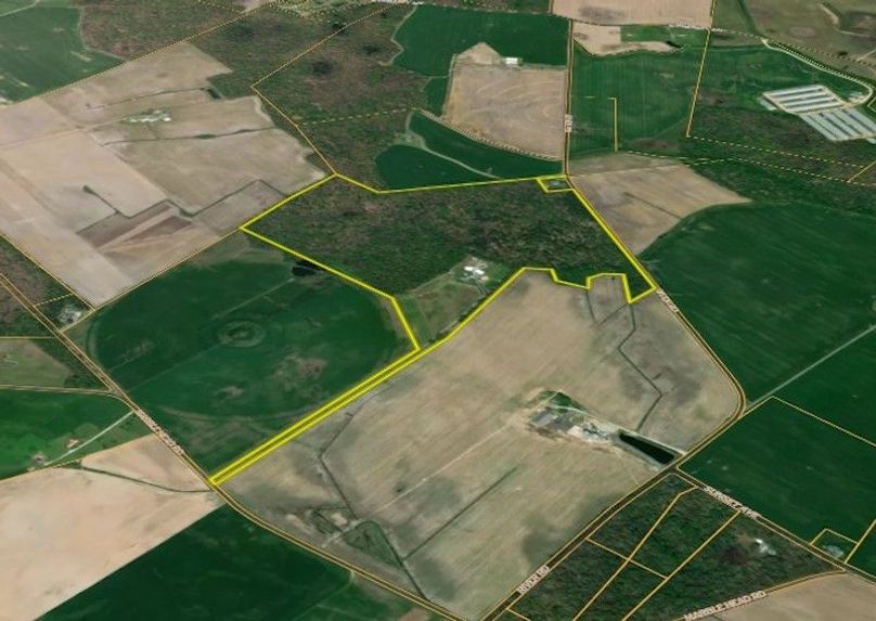 99ac_MarbleheadRd_CarolineCty_3D MAP