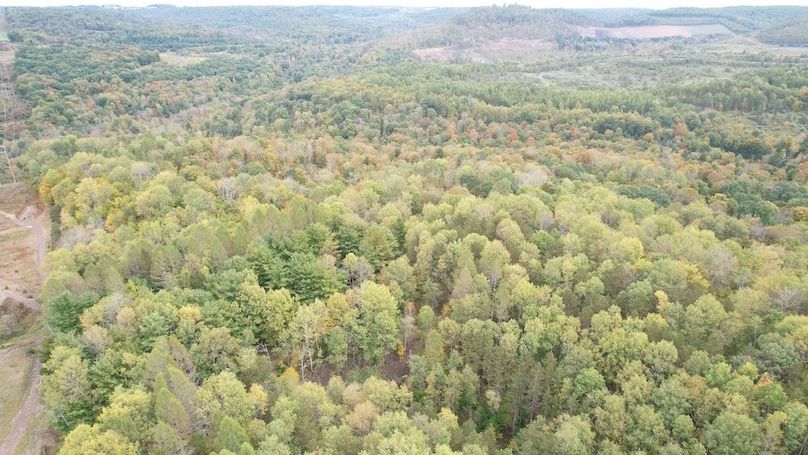 dji_fly_20240926_134548_740_1727372976055_photo