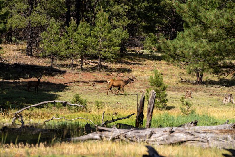 Cibola NM 13,053-05905
