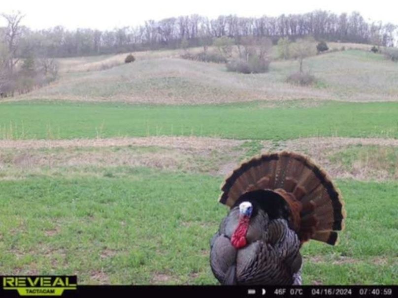 Messenger_creation_1623F0E5-F21F-410D-B401-955C27ADAD53