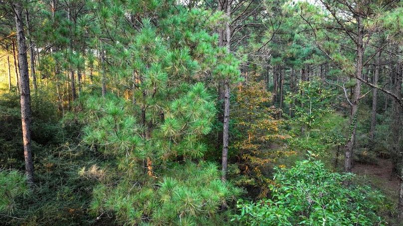 DJI_20250918182250_0215_D